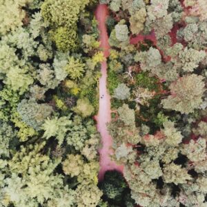 Photo Drone inspection