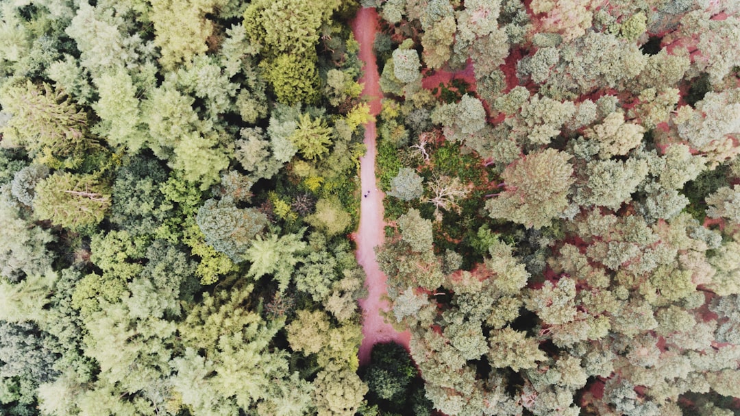 Photo Drone inspection