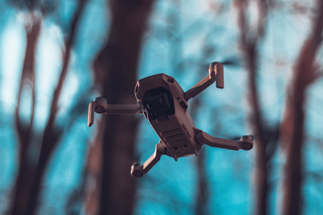 Photo Drone in flight