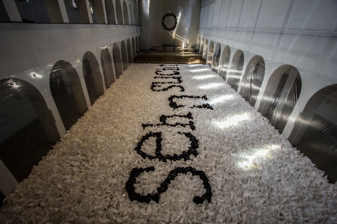 Photo TPO Installation