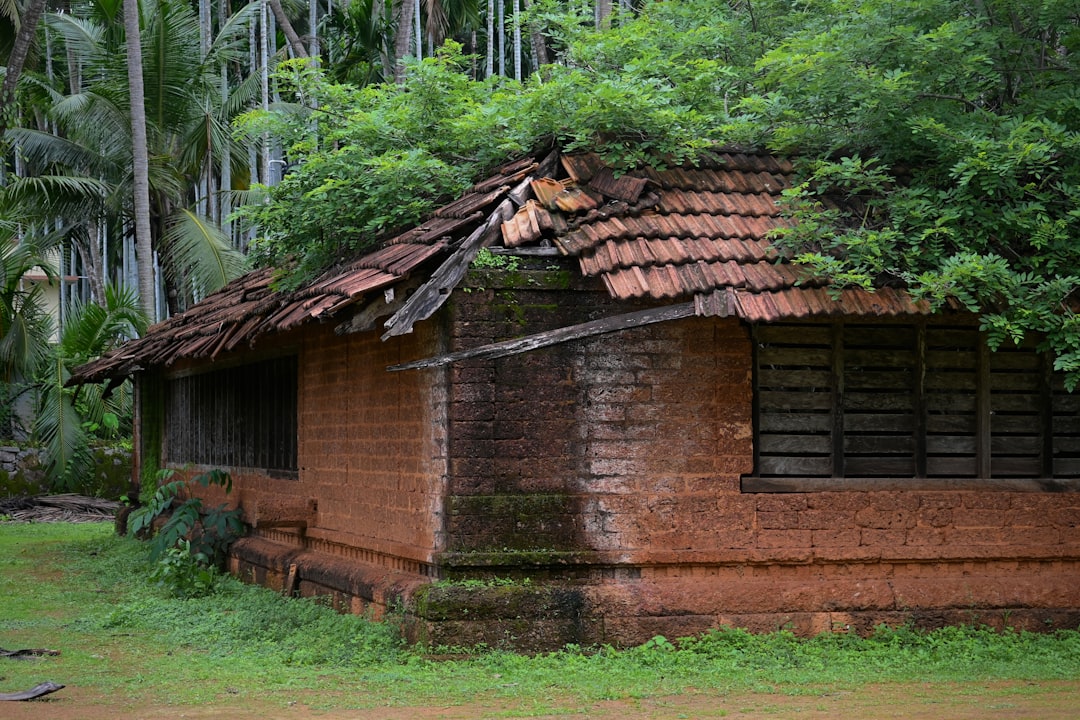 Photo Roofing inspection