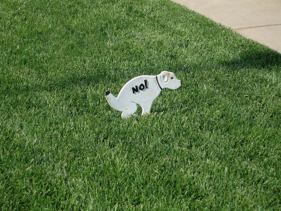 image 119