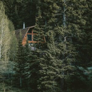 Photo Green or Living Roof