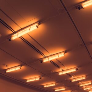 Photo Energy Efficiency Elevated