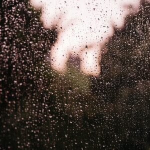 Photo Weatherproof Wonders