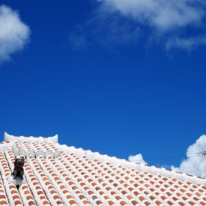 Photo Roofing Contractor