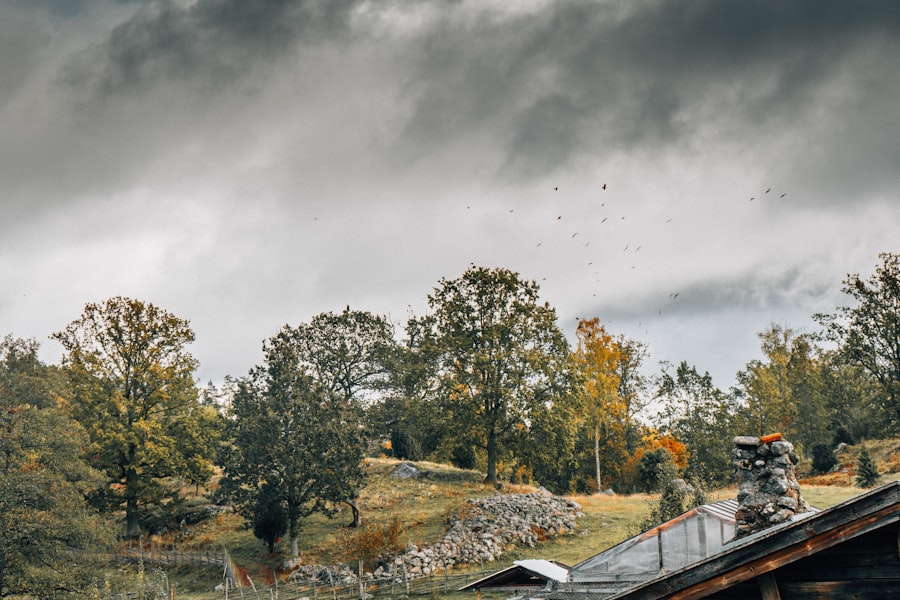 Storm Damage Roof Repair