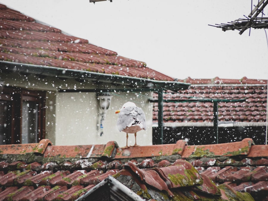 Storm Damage Roof Repair Sendero Springs Round Rock Tx 1 Storm Damage Roof Repair