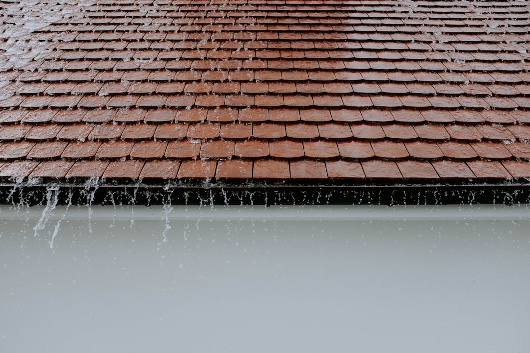 Photo Roof Leak Repair