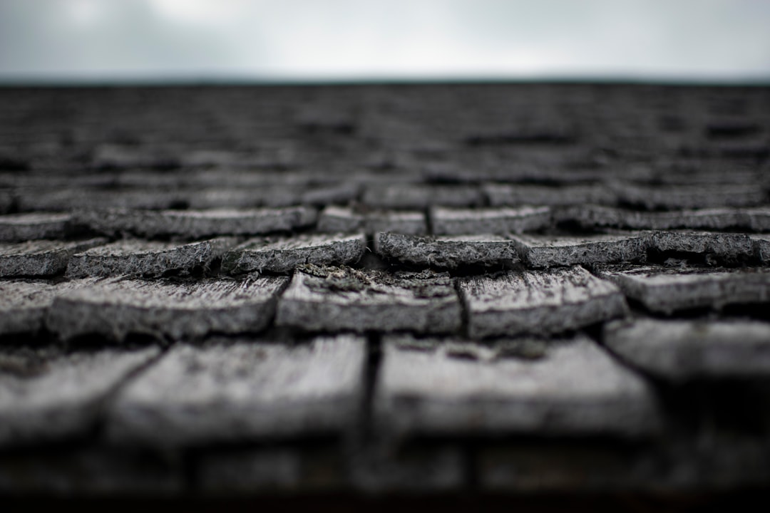 Photo Asphalt Shingle Roofing