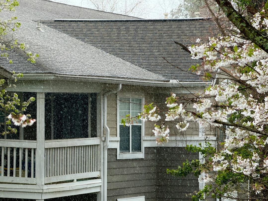 Photo Hail Damage Roofing