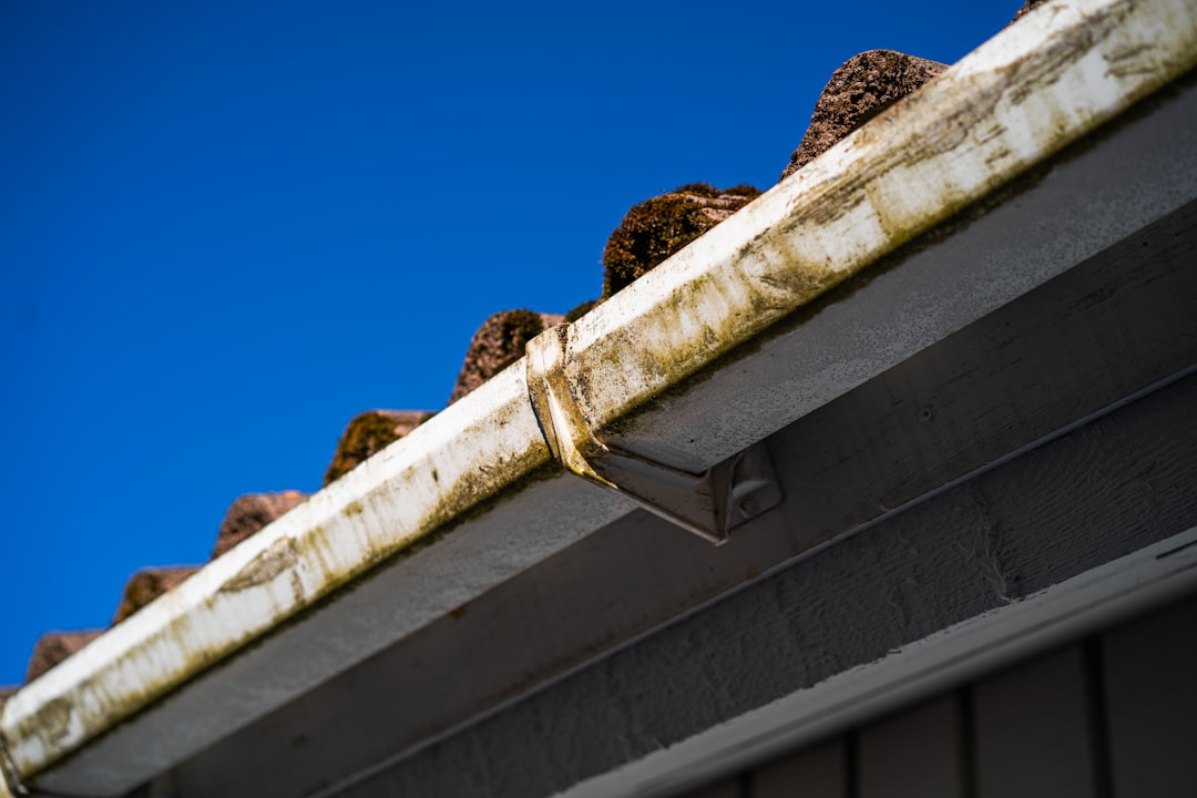 Photo Roof Maintenance