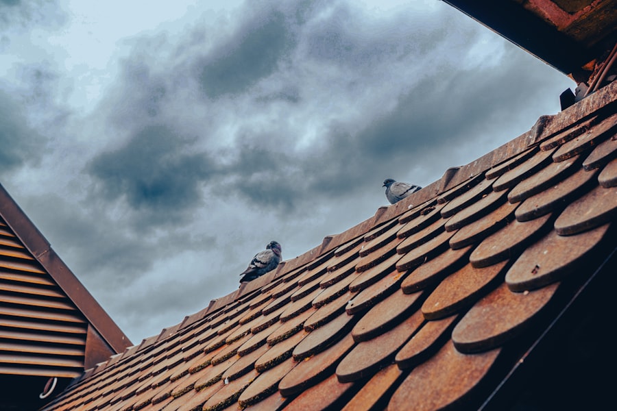 Storm Damage Roof Repair Twin Creeks Allen Tx 2 Photo Storm Damage Roof Repair