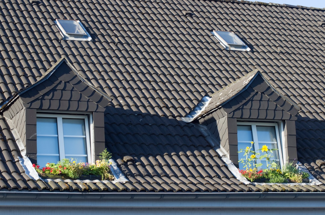 Photo Roofing