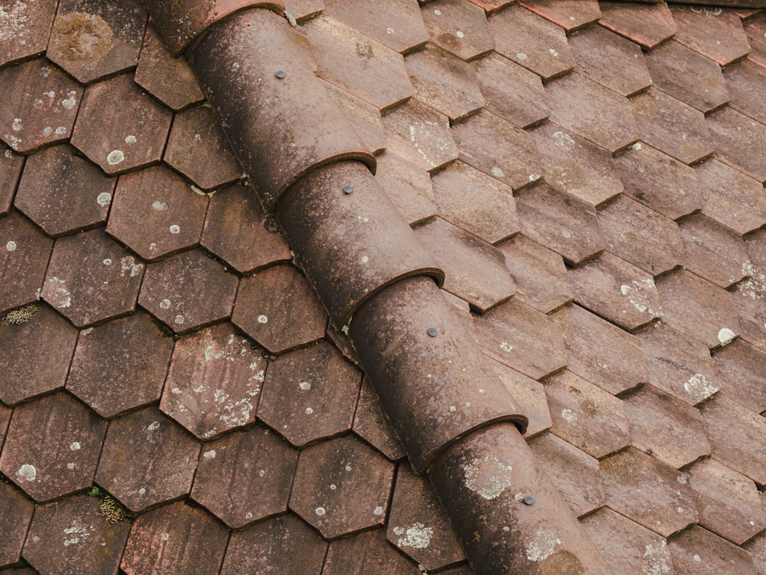 Photo Roof Maintenance