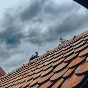 Photo Storm Damage Roof Repair