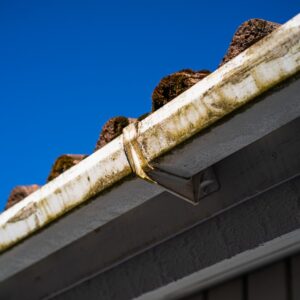 Photo Roofing Maintenance