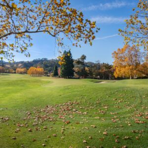 Photo Roof Leak Repair Agritopia Gilbert Az