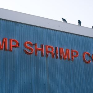 Photo Roofing Company