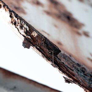 Photo Hail Damage Roofers