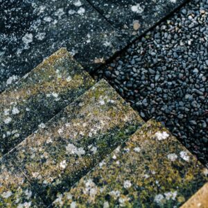 Photo Asphalt Shingle Roofers