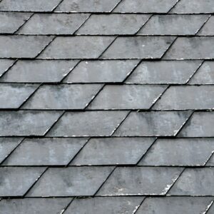 Photo Asphalt Shingle Roofers